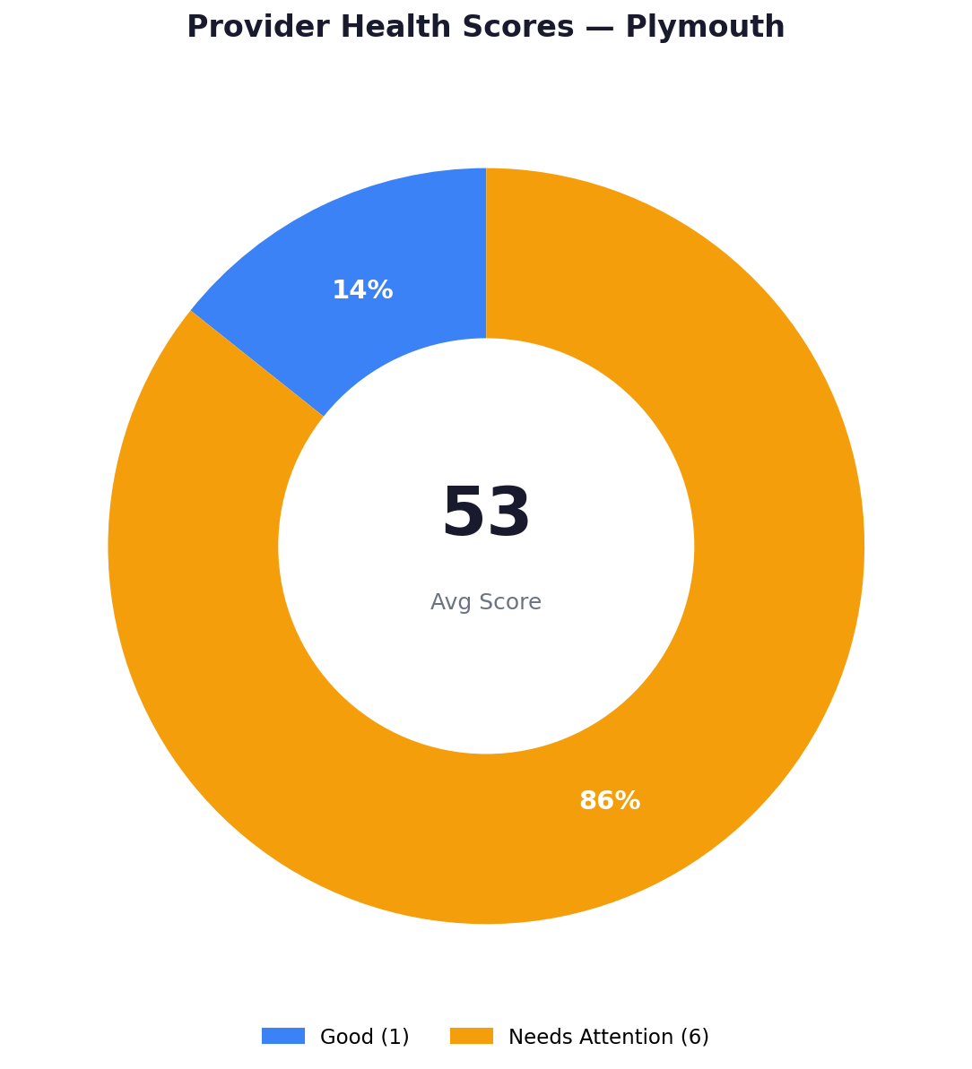 Health score distribution — Plymouth